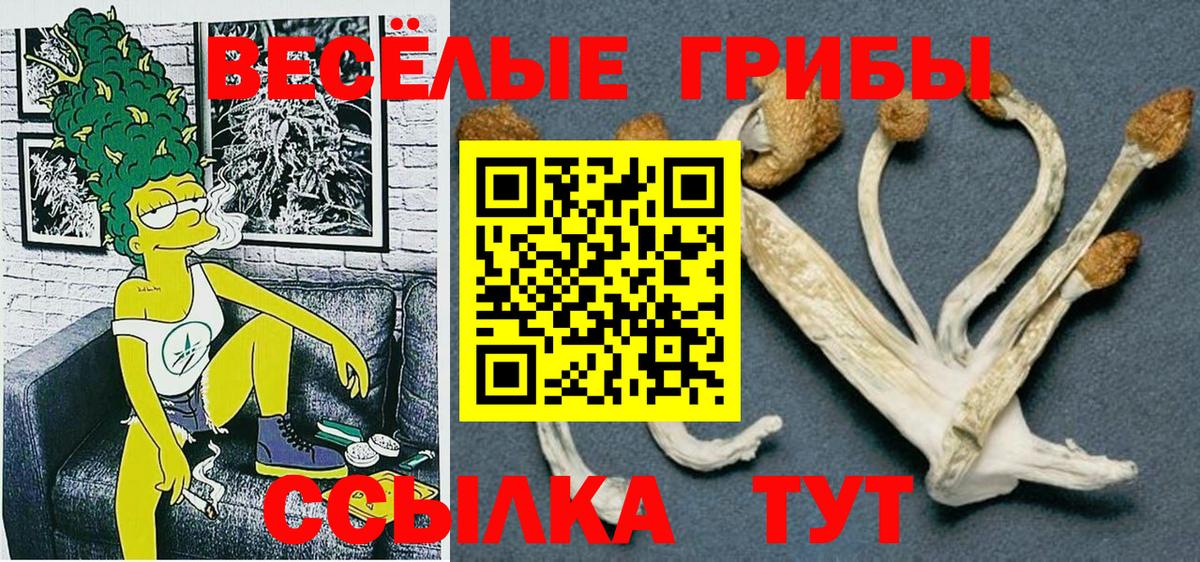 Псилоцибиновые грибы Magic Shrooms Вятские Поляны